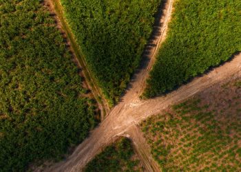 Ron Barceló renueva sus certificaciones en  Sostenibilidad y Neutralidad de Carbono