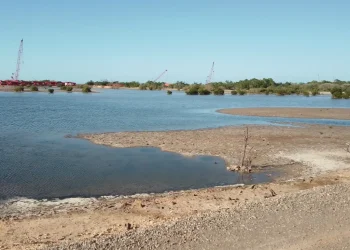 Planta de Energía 2000 en Manzanillo será inaugurada con estudio ambiental de 2013